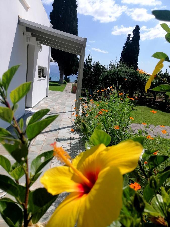 Villa Maria 에피다우로스 외부 사진